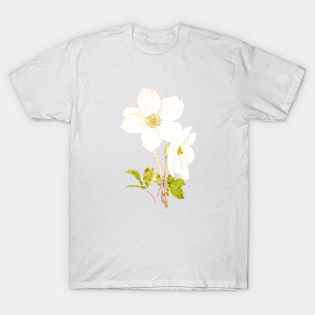 white hellebore flowers ink and watercolor T-Shirt by colorandcolor